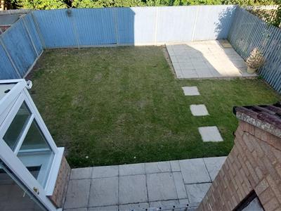 Picture 12